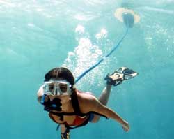 NEMO Hookah Diving Rig